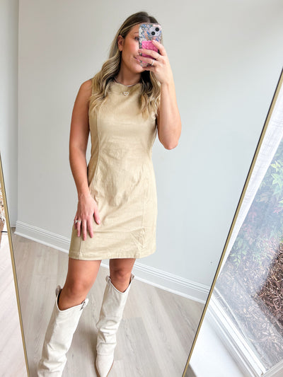 The Groove Faux Suede Mini Dress
