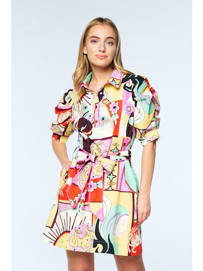 Monet Shirt Dress