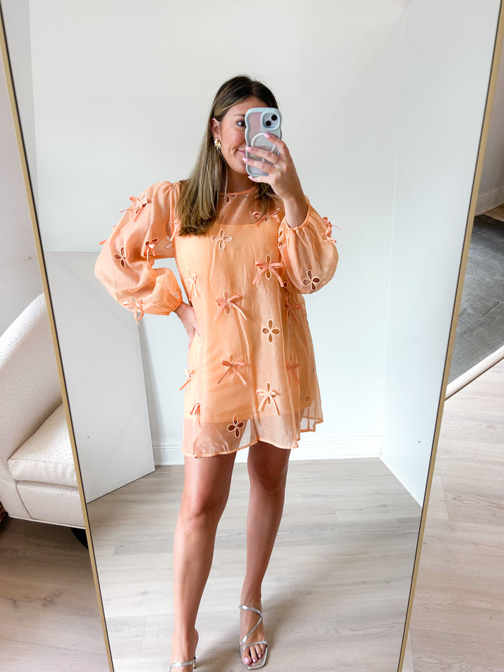Leni Mini Dress