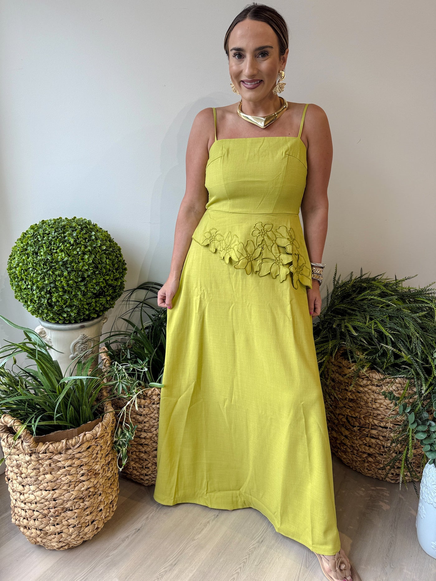 Carrie Floral Applique Dress