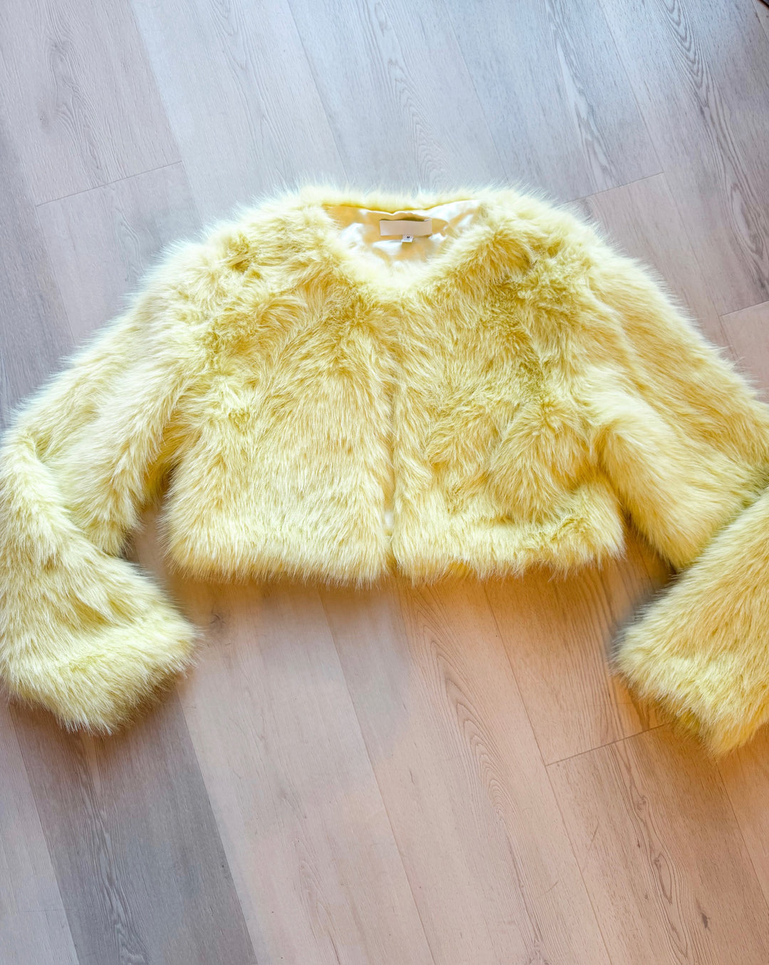 Kenzy Fur Jacket