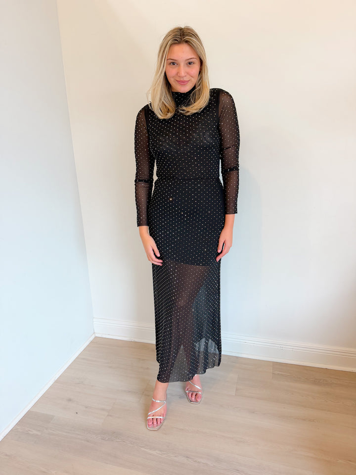 Kassidy Hotfix Maxi Skirt