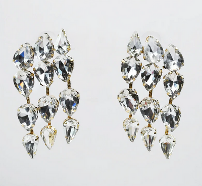 Gilded Luxe Earrings Silver