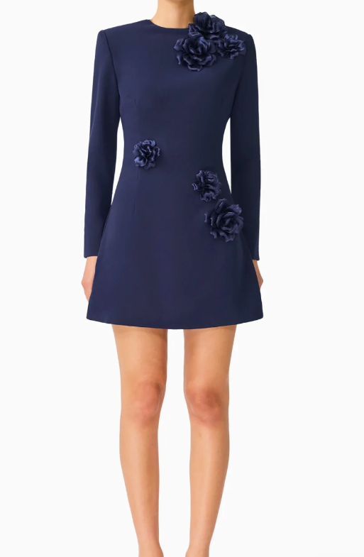 Leonara Long Sleeve Mini Dress