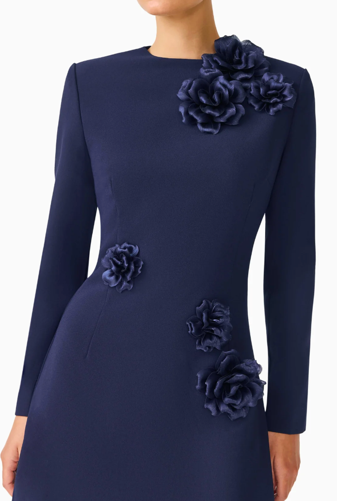 Leonara Long Sleeve Mini Dress